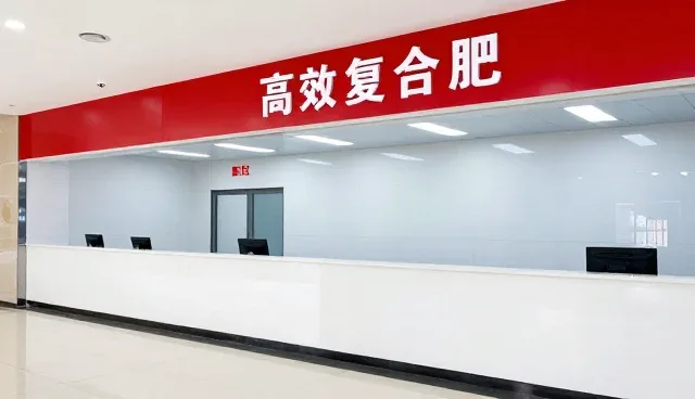 如何选择适合的售后服务支持?