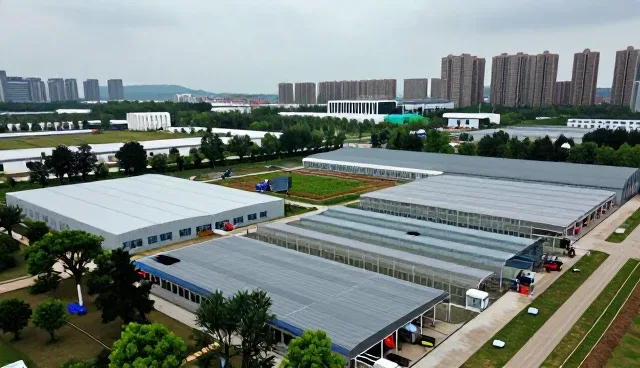 渠道供货中的团队协作如何影响业务发展趋势