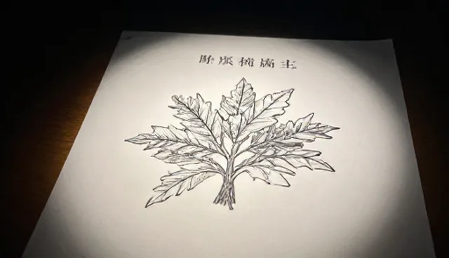 种苗供应中的团队管理问题及优化方向
